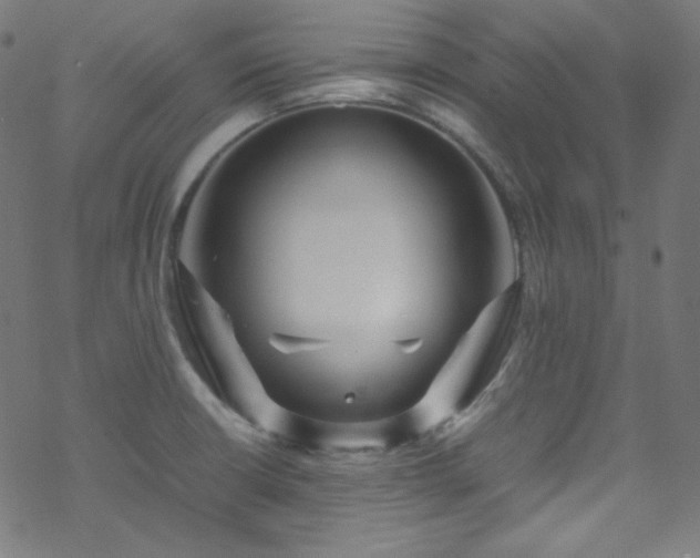 X0000070231426200605301444