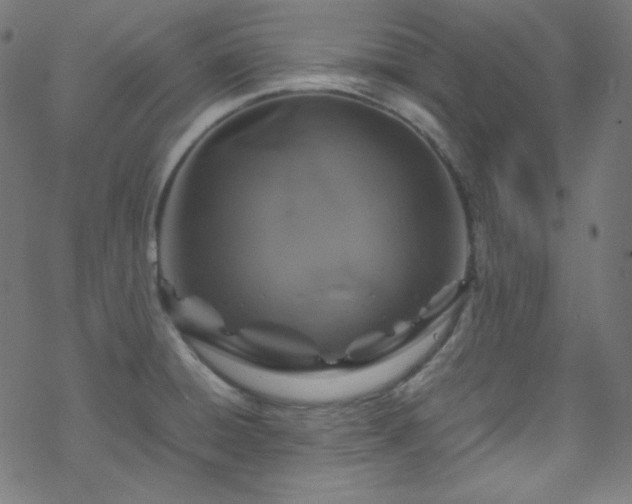 X0000070231428200605301444