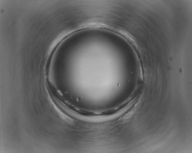 X0000070231430200605301444