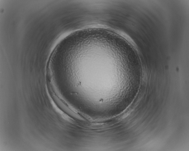 X0000070231439200605301444