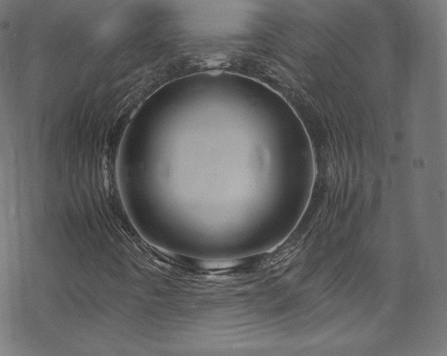 X0000070231442200605301444