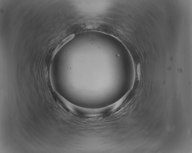 X0000070231443200605301444