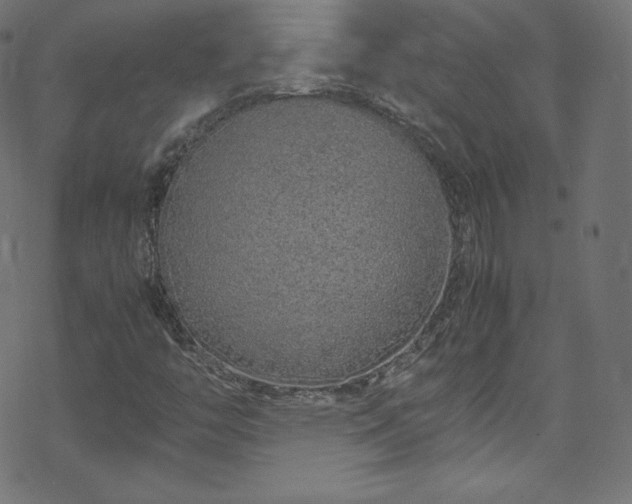 X0000070231446200605301444