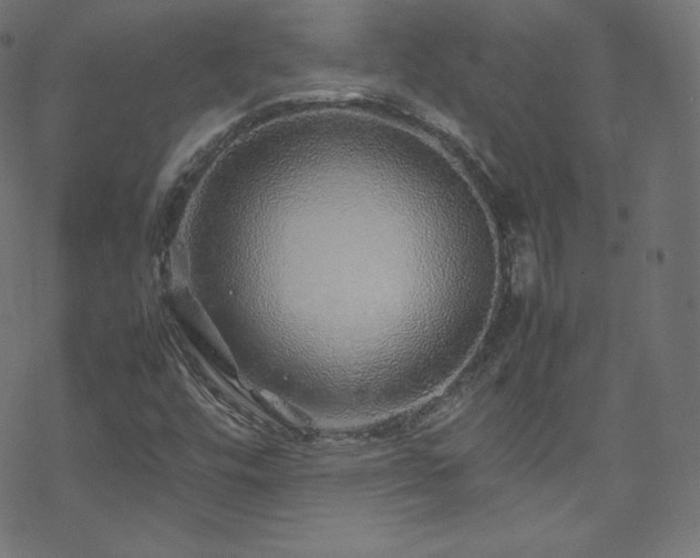 X0000070231448200605301444