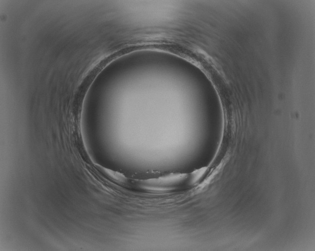 X0000070231449200605301444