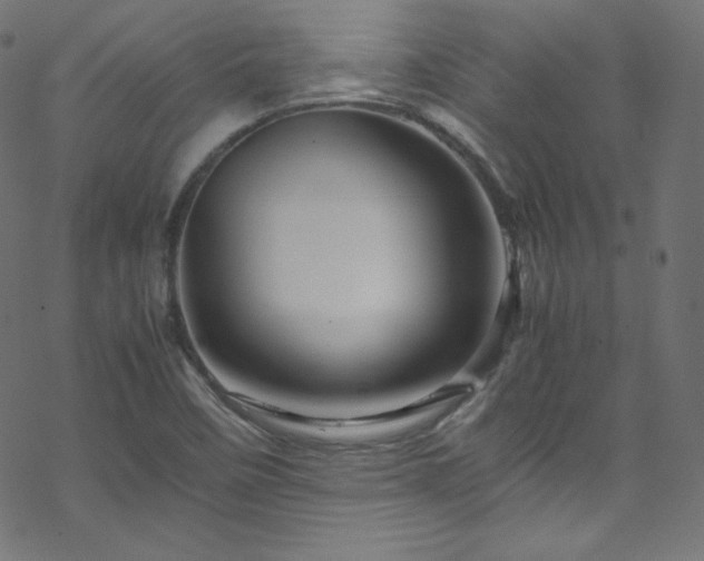 X0000070231458200605301443