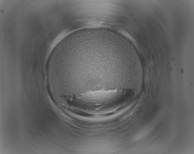 X0000070231467200605301443