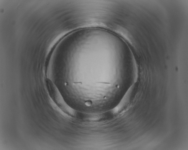 X0000070231468200605301443