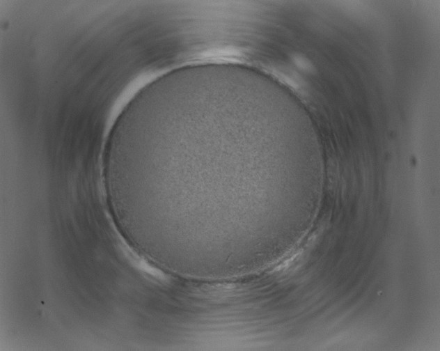 X0000070231470200605301443