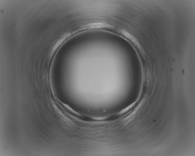 X0000070231473200605301443