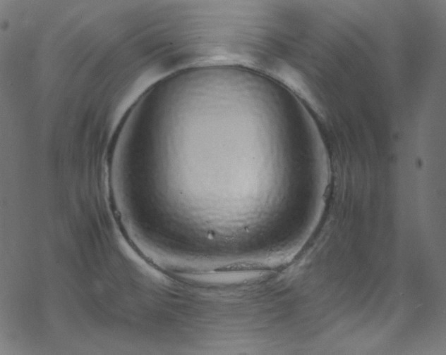 X0000070231476200605301443