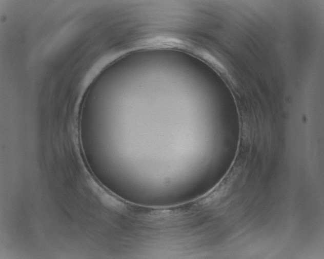 X0000070231478200605301443