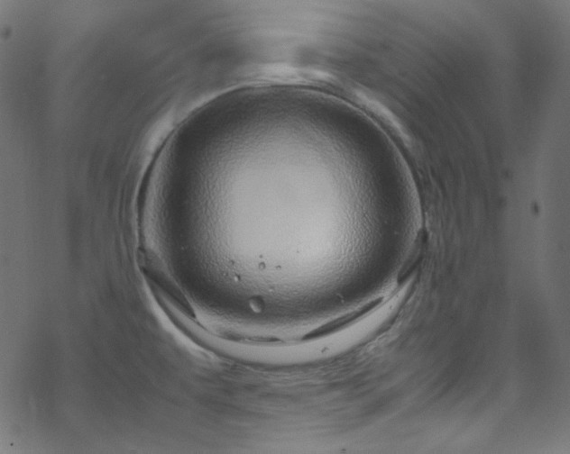 X0000070231479200605301443