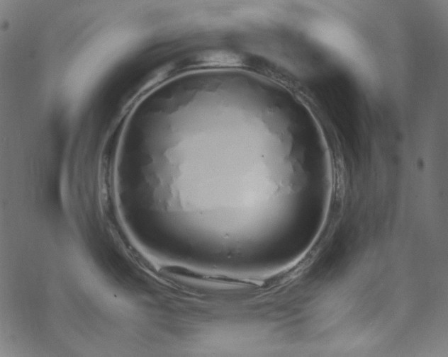 X0000070231487200605301443