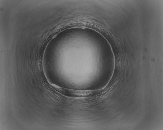 X0000070231490200605301442