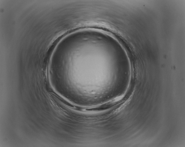 X0000070231497200605301442