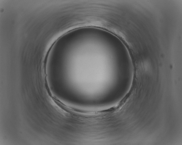X0000070231516200605301443