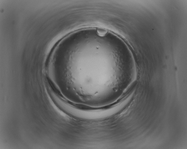 X0000070231519200605301443