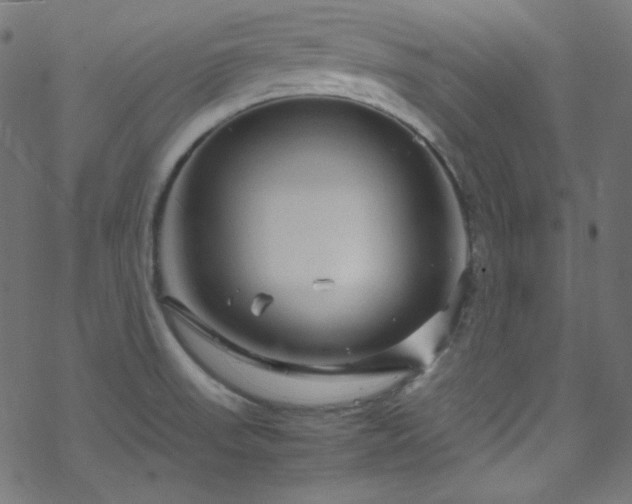 X0000070231523200605301443