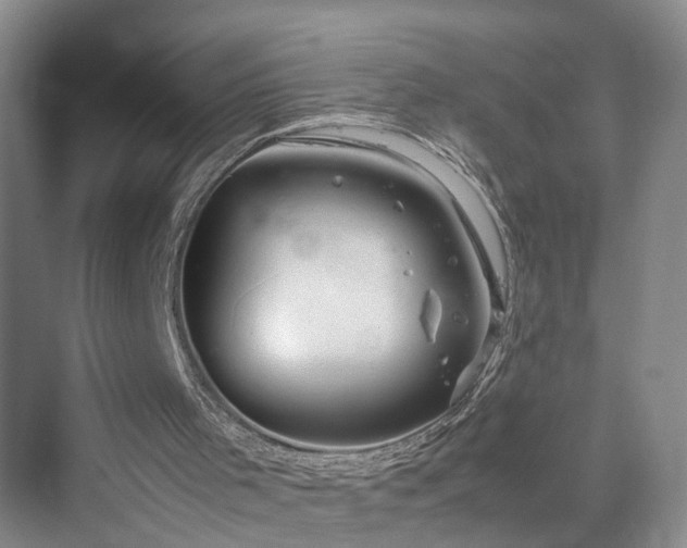 X0000070230001200606021359