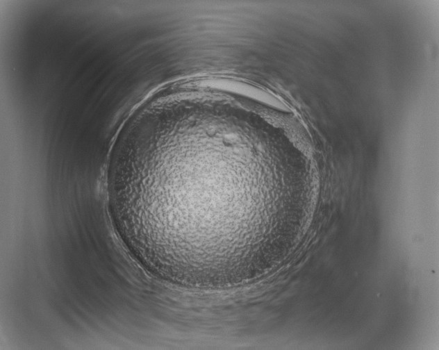 X0000070230002200606021359