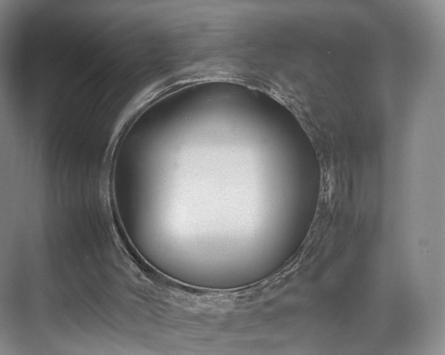 X0000070230004200606021359