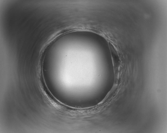 X0000070230005200606021359