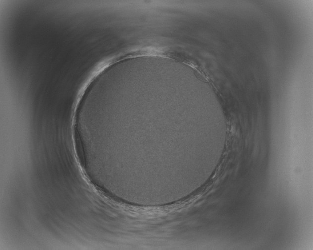 X0000070230006200606021359