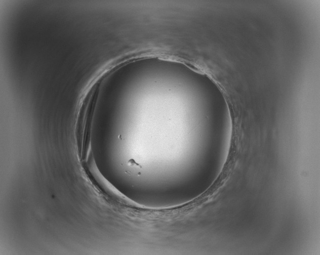 X0000070230007200606021359