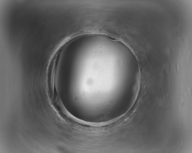 X0000070230008200606021359