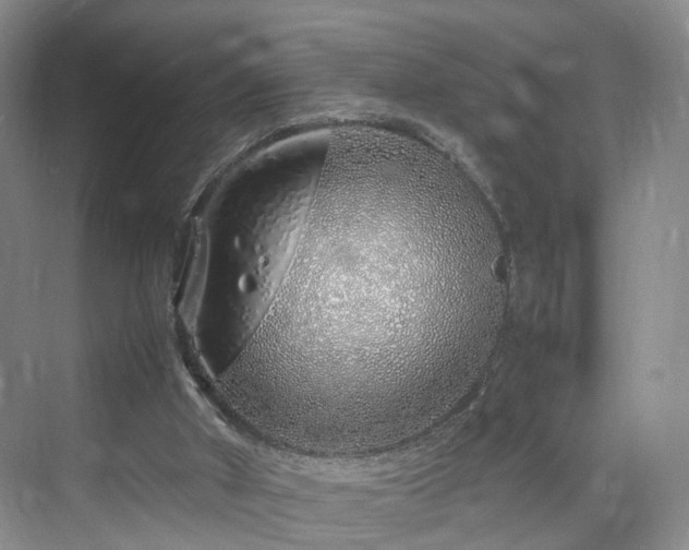 X0000070230010200606021359