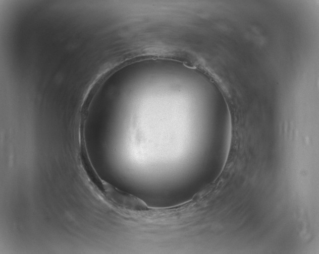 X0000070230011200606021359