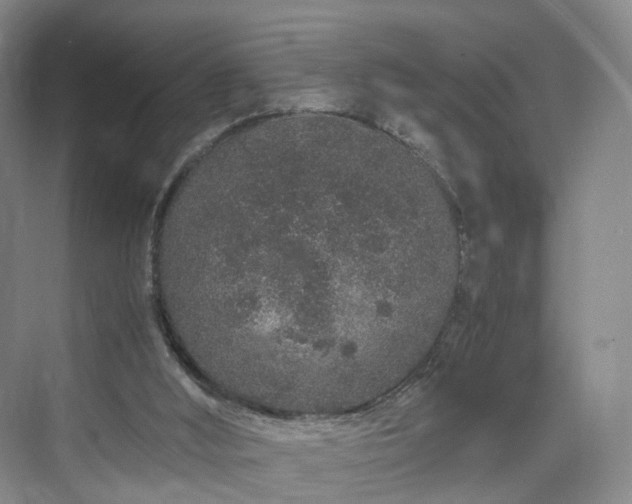 X0000070230012200606021359