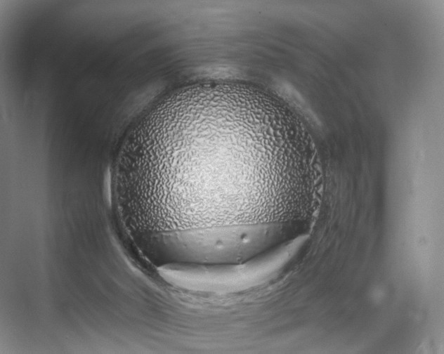 X0000070230014200606021359