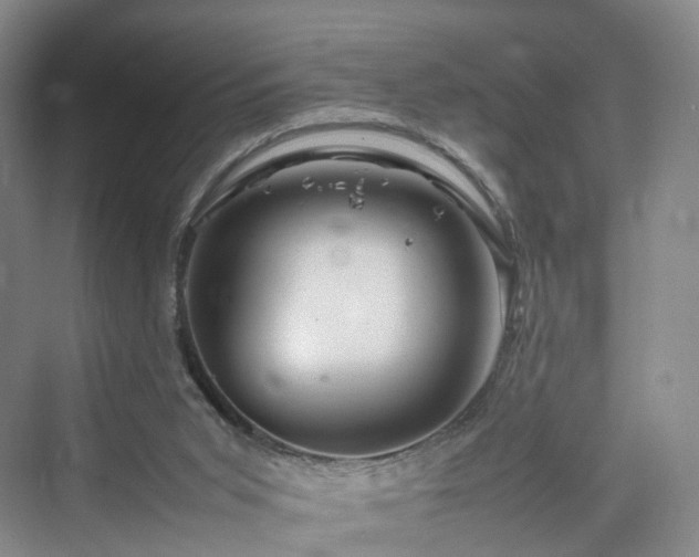 X0000070230015200606021359