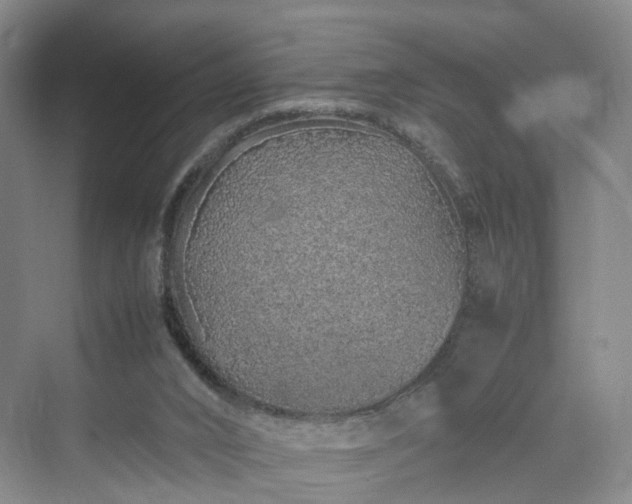 X0000070230016200606021359