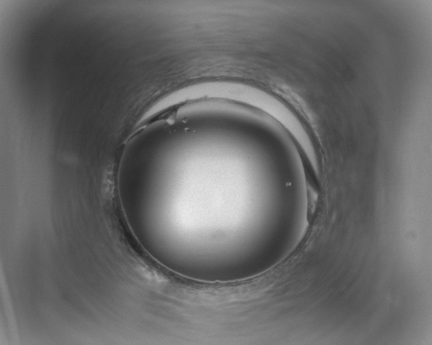 X0000070230017200606021359