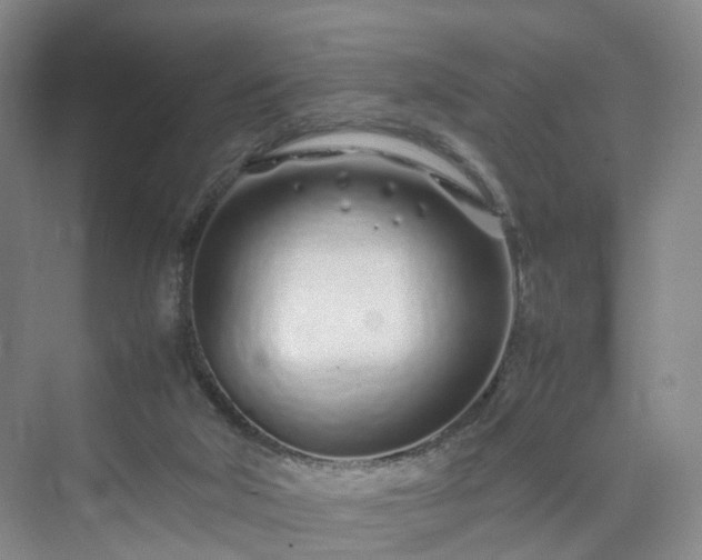 X0000070230018200606021359