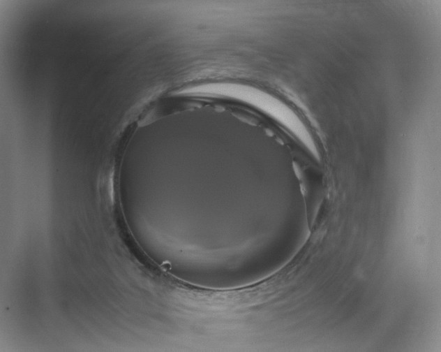 X0000070230019200606021359