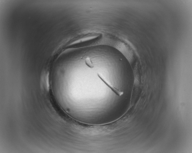 X0000070230020200606021359