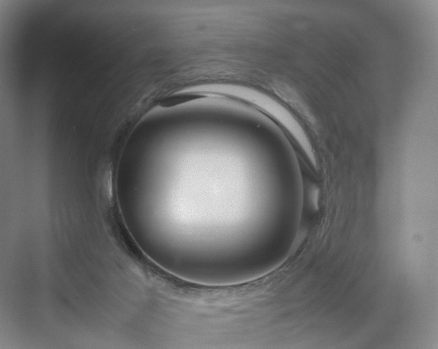 X0000070230021200606021359