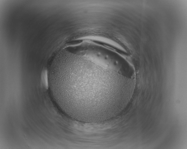 X0000070230022200606021359