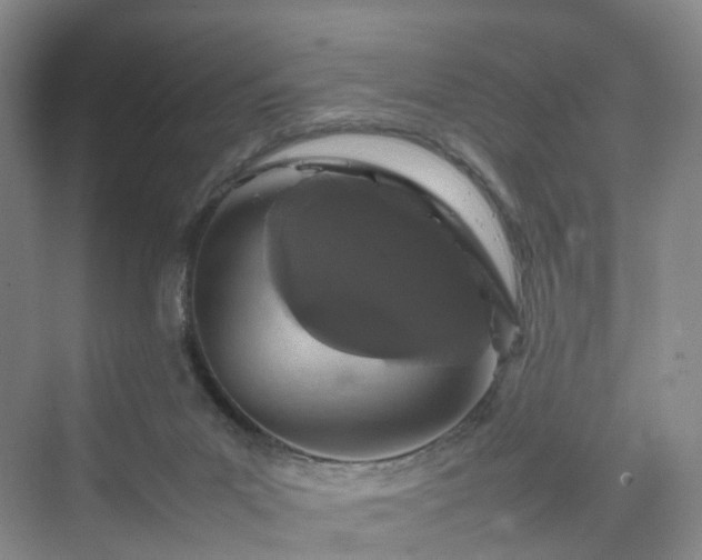 X0000070230023200606021359