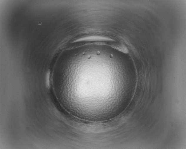 X0000070230024200606021359