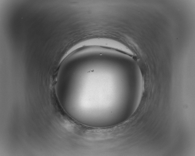 X0000070230025200606021359