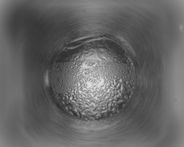 X0000070230026200606021359