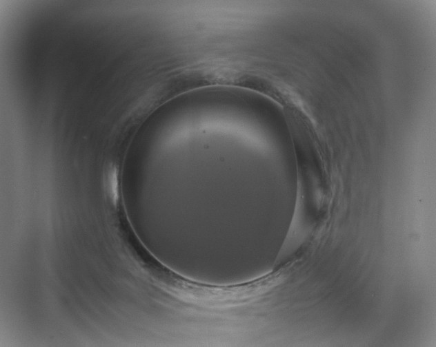 X0000070230027200606021359