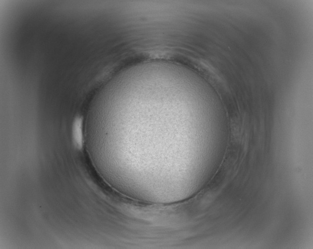 X0000070230028200606021359