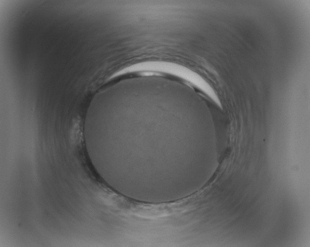 X0000070230029200606021359