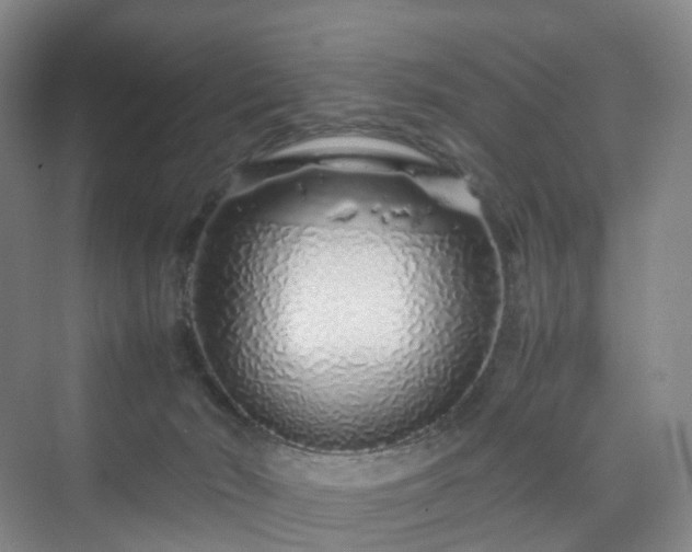 X0000070230030200606021359